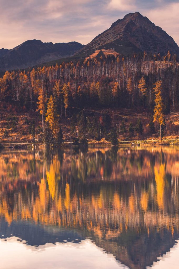 autumn-colors-on-forest-over-lake-in-high-mountain-P3YYGAV-compressed.jpeg